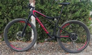 Specialized - Epic FSR, 2019