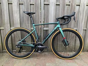 Specialized - Allez Sprint Disc Frameset, 2022