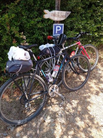 Used Giant Expedition 1994 Road & Gravel — image 1 of 12