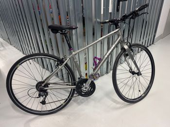 Trek - FX Woman´s 17" Patinum, 2016