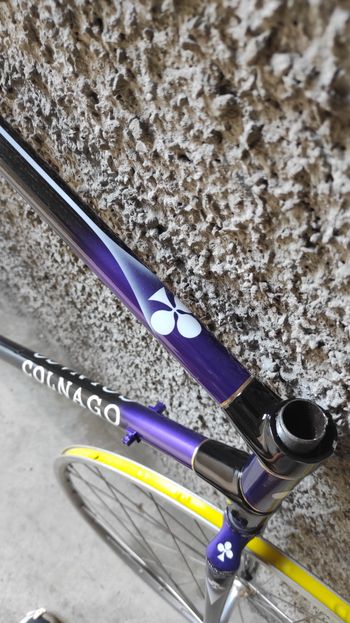 Used Colnago Carbitubo monotubo Frameset 1990 Road & Gravel, Purple — image 5 of 8