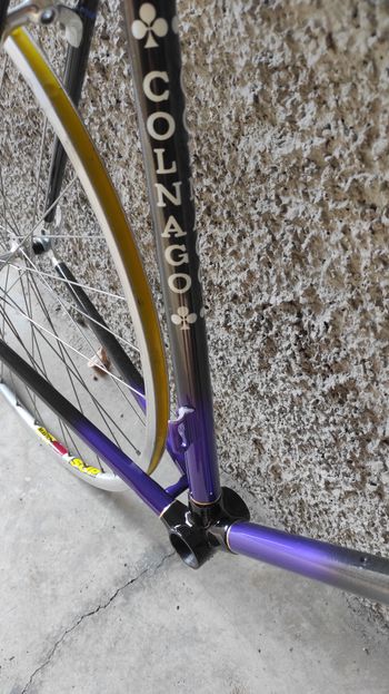 Used Colnago Carbitubo monotubo Frameset 1990 Road & Gravel, Purple — image 3 of 8