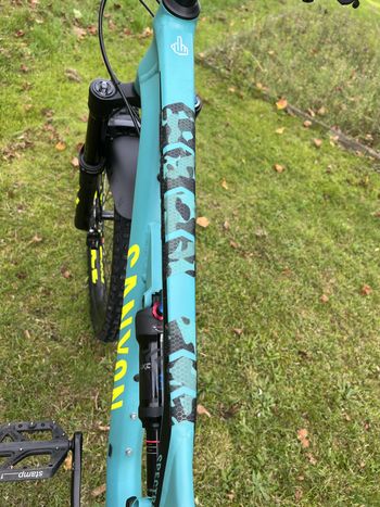 Used Canyon Spectral 5 2021 Mountainbike, shop.filter.color.0000ff — image 11 of 14