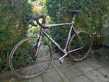 Trek - Madone 5.9 2004, 2004