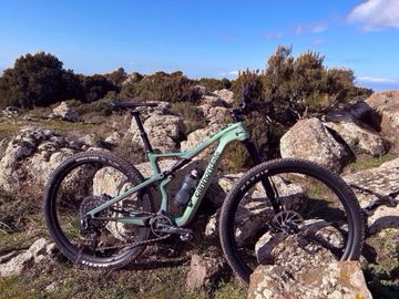 Tweedehands Cannondale Scalpel Carbon SE Ultimate 2023 2023 MTB