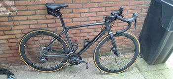 Giant - TCR Advanced Disc 1+ 2023, 2023