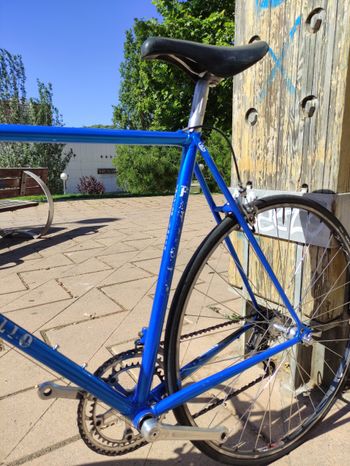 Used Pinarello Treviso 1980 Road & Gravel — image 2 of 6