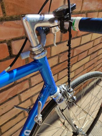 Used Pinarello Treviso 1980 Road & Gravel — image 4 of 6