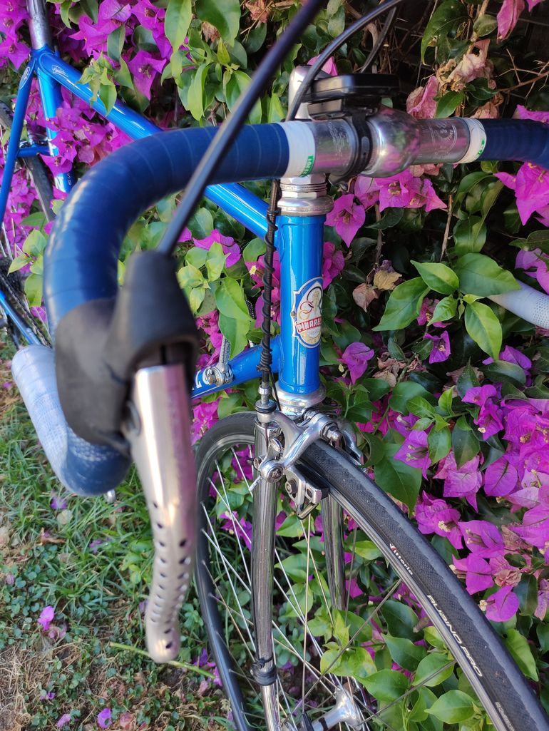 Used Pinarello Treviso 1980 Road & Gravel — image 6 of 6