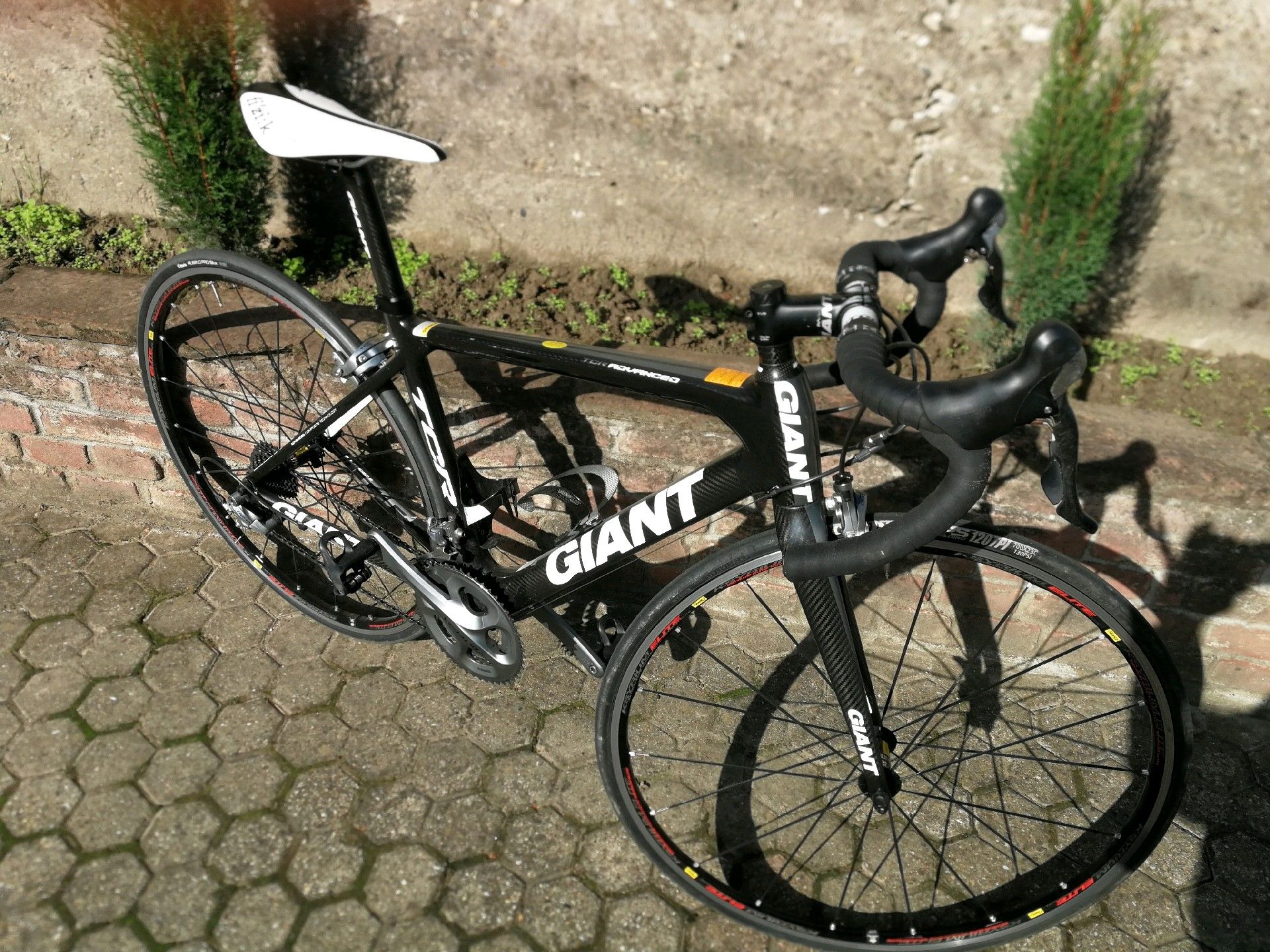 Giant tcr advanced 1 2010 online