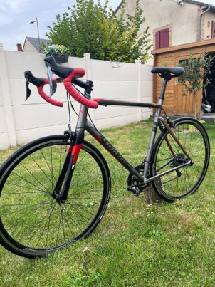 Wilier - Montegrappa 2019, 2019