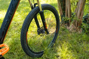 Used Orbea MX 50 29 2019 2019 Mountainbike — image 10 of 12