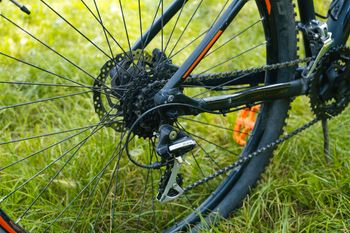 Used Orbea MX 50 29 2019 2019 Mountainbike — image 2 of 12