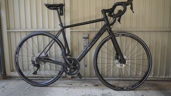 Canyon - Endurace 7 2022, 2022