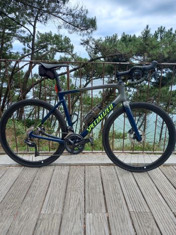 Specialized - Roubaix Comp – Shimano Ultegra Di2, 2019