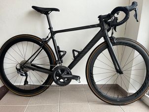 Canyon - Endurace CF 8.0 2019, 2019