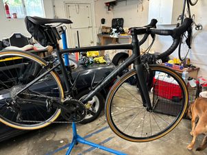 Specialized - Allez Elite 2020, 2020