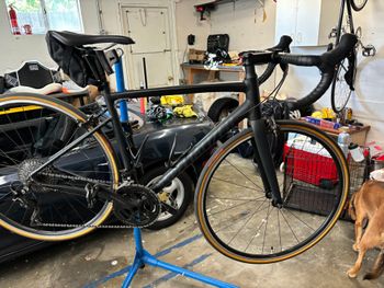 Specialized - Allez Elite 2020, 2020