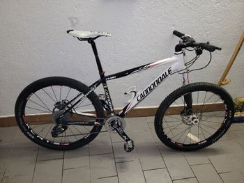 Cannondale flash 26 online