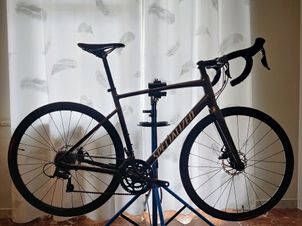 Specialized - Allez 2024, 2024