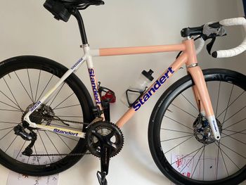 Standert - Peach Frameset, 2021