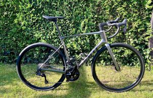 Giant - Defy Advanced 1 2024, 2024