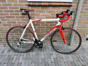 Wilier - Montegrappa 2019, 2019