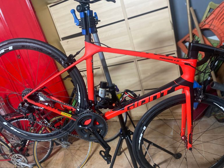 Giant tcr advanced 2 disc 2019 sale