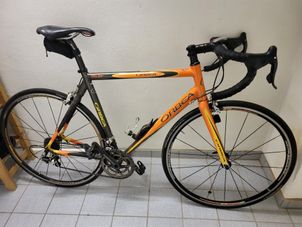 Orbea - Lobular, 2008