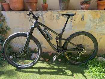 Trek - Fuel EX 8 29 2019, 2019