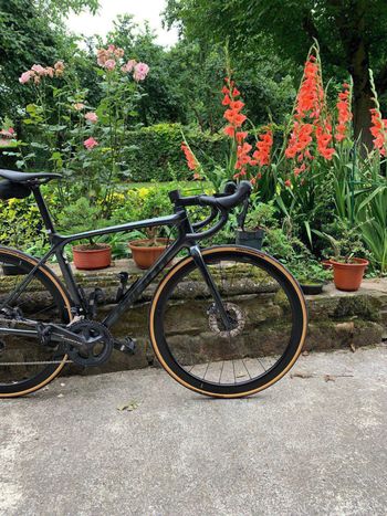 Giant - TCR Advanced Disc 1+ Pro Compact 2022, 2022