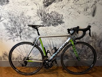 Cannondale - Evo, 2017