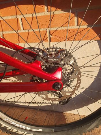 Used BH iLYNX RACE CARBON LT 7.7 2023 2023 Mountainbike, Rojo — image 6 of 6