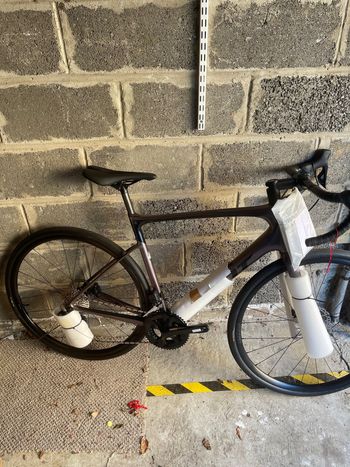 Giant - Defy Advanced 1 2024, 2024