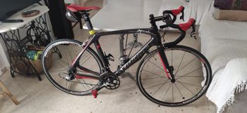 Wilier - Imperiale, 2013