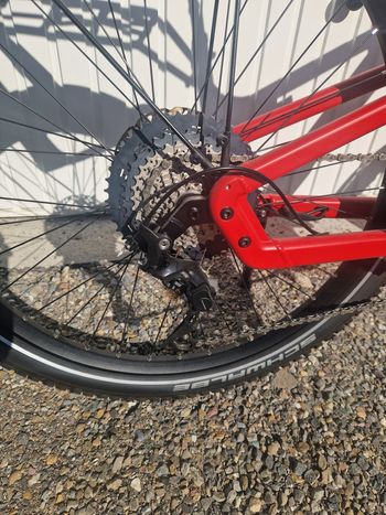 Käytetty Riese & Müller Delite GT Touring Neu 2024 Mountainbike — kuva 2 / 4