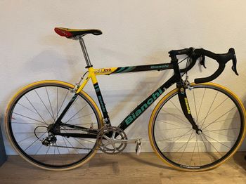 Bianchi - Xl EV 2 Campagnolo Record Pantani 53cm, 2001