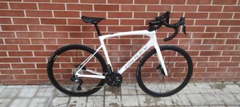 Ridley - Fenix Disc - Shimano 105 DI2 // 2x12s 2024, 2024