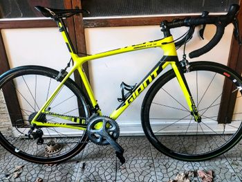 Giant - TCR Advanced SL 2 2016, 2016