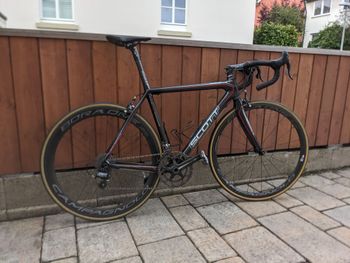 Scott, Addict ltd