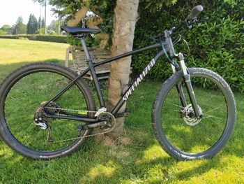 Specialized - Rockhopper Comp 29 2020, 2020