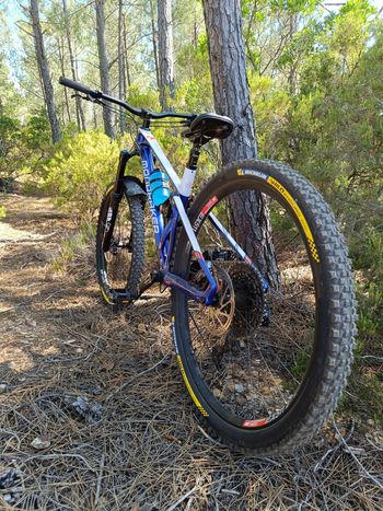 Used Mondraker Foxy Carbon R 2021 2021 Mountainbike, Blue, 29 — image 11 of 17