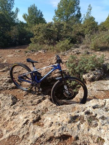 Used Mondraker Foxy Carbon R 2021 2021 Mountainbike, Blue, 29 — image 1 of 17