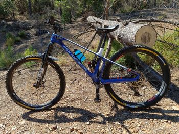 Used Mondraker Foxy Carbon R 2021 2021 Mountainbike, Blue, 29 — image 7 of 17