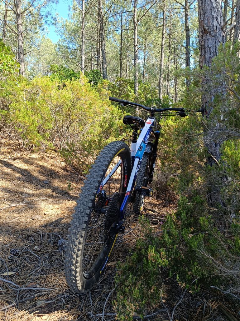 Used Mondraker Foxy Carbon R 2021 2021 Mountainbike, Blue, 29 — image 16 of 17