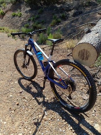 Used Mondraker Foxy Carbon R 2021 2021 Mountainbike, Blue, 29 — image 6 of 17