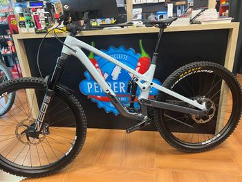 Used Trek Slash 8 Gen 6 2024 2024 Mountainbike, Light Gray, 27.5, 29 — image 1 of 27