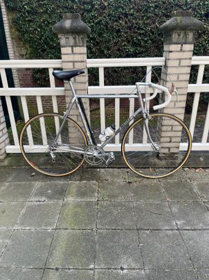 Eddy Merckx - Professional 1981  L'Eroica, 1981