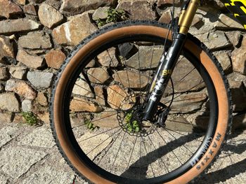 Used Scott RC XX AXS T-Type Kashima DTSWISS 1200XRC 2024 Mountainbike, White — image 8 of 9