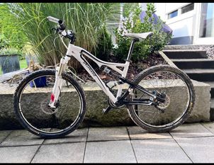 Specialized - Era FSR Expert 2010, 2010